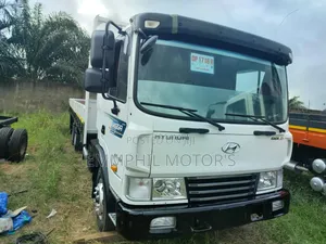 Hyundai 2010 White