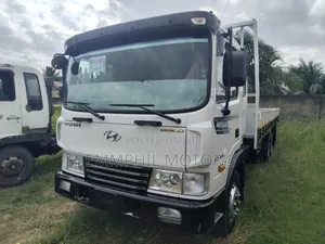 Hyundai 2010 White
