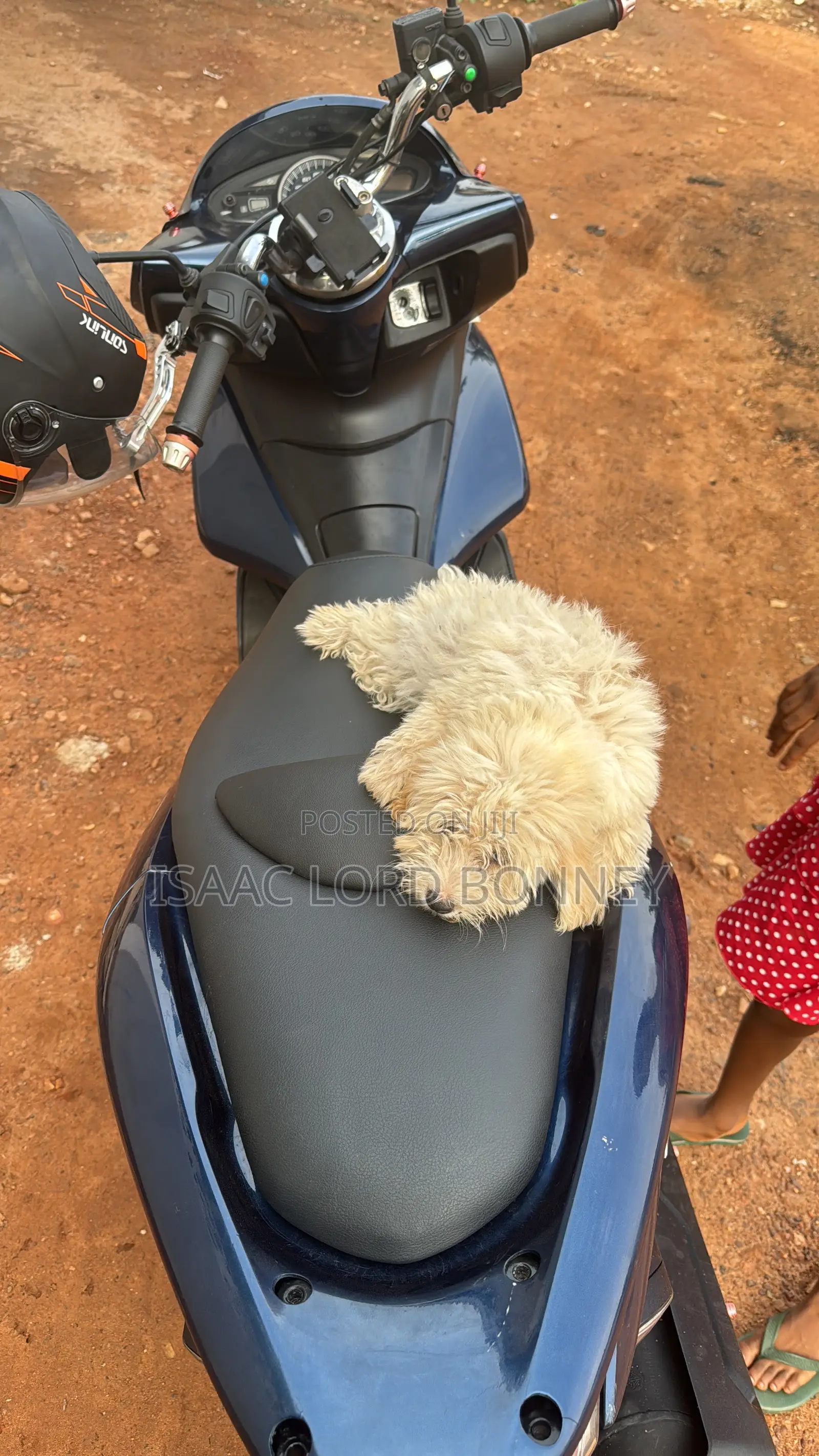 Honda 2021 Blue