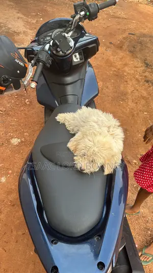 Honda 2021 Blue