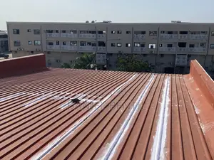 Professional Roofing Leakage Expert