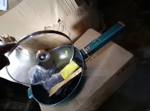 Electric Induction Cooking Pot