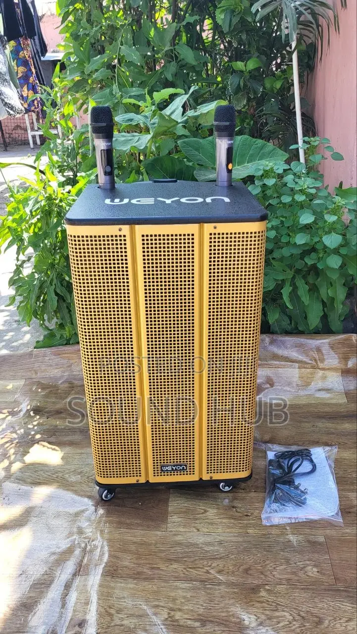Professional 15'' Trolley Speaker With 2 Microphones