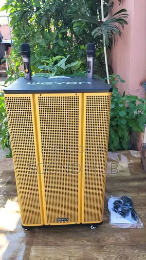 Professional 18'' Trolley Speaker With 2Microphones