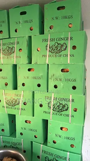 Fresh Washed Chinese Ginger Wholesale Bulk Supply