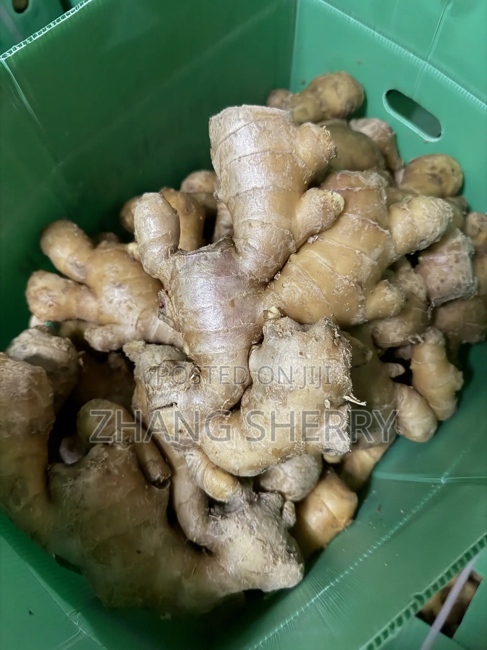 Fresh Washed Chinese Ginger Wholesale Bulk Supply