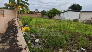 Roadside Land for Sale at Dansoman