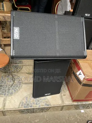 Nexo 15” Stage Monitor Speakers