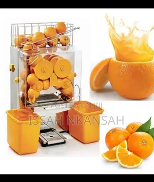 Commercial Orange Juicer