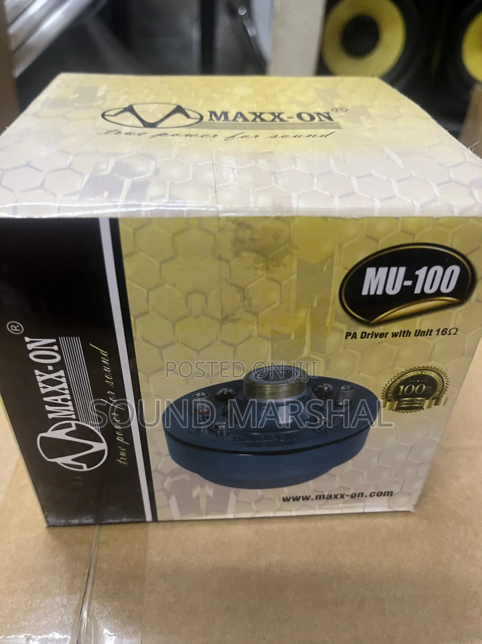 Maxxon Driver Unit 100W