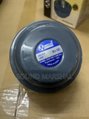 Maxxon Driver Unit 100W