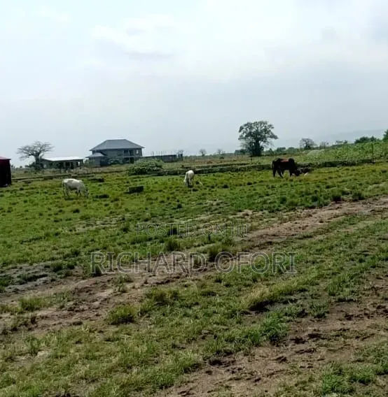 1 Plot of Land for Sale