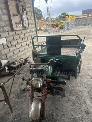 Tricycle 2022 Green
