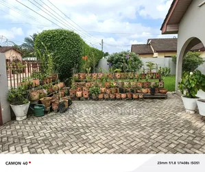 Gardner and Grass Planting