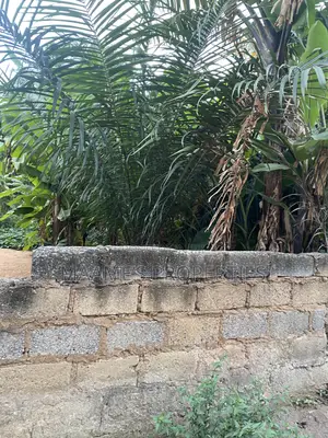 1 N Half Plot at Oyarifa Special , 