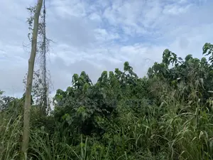 2 Plots of Land at Aburi Ahwerease, Per Plot Is 