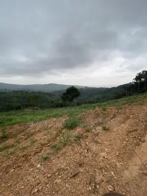 25 Plots of Land at Aburi, Around the Prayer Camp, Per Plot Is 