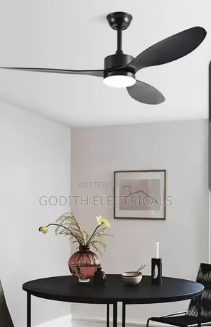 Decorative Ceiling Fan With Light