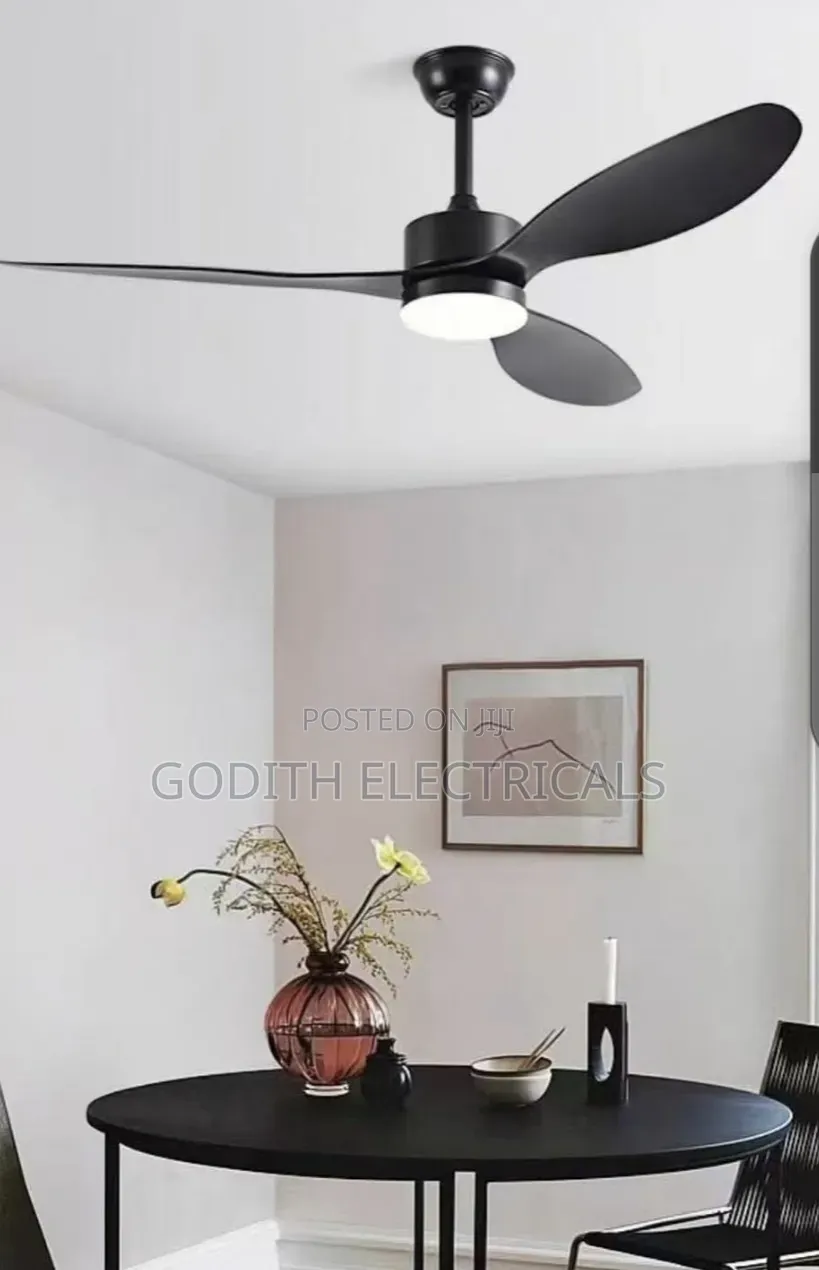 Decorative Ceiling Fan With Light