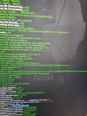 iCloud Unlock Service