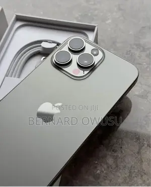 Apple iPhone 16 Pro Max 256 GB Gray