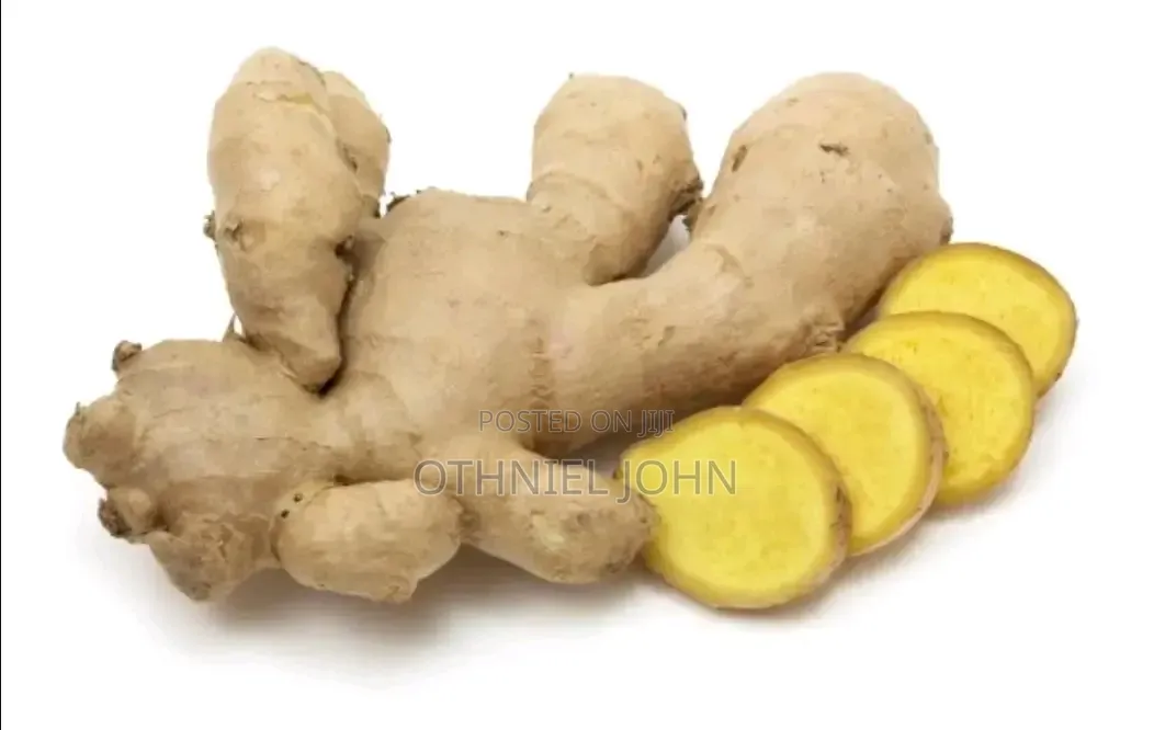 Ginger for Sale in Bulk Only