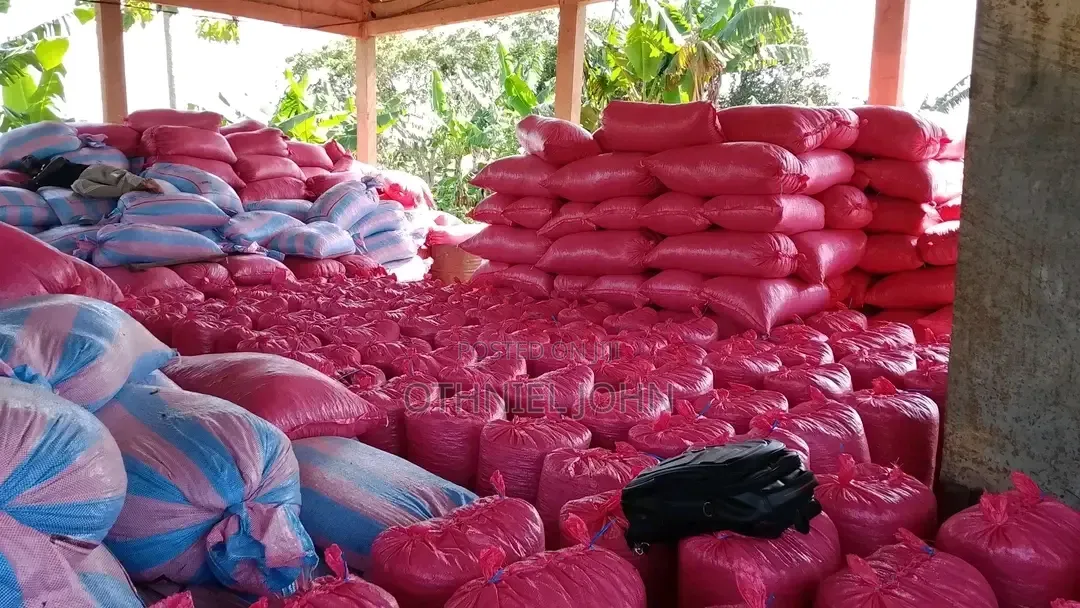 Palm Kernel Cake for Sale in Bulk