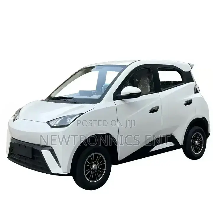 Seagull Electric Car Ch