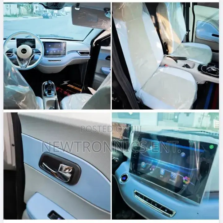 Seagull Electric Car Ch