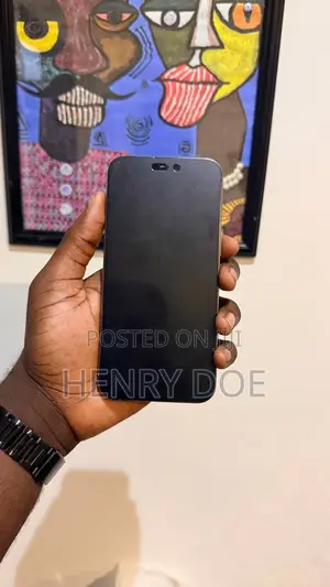 Apple iPhone 15 Pro Max 256 GB Gray