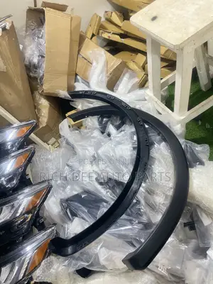 Ford F-150 2016, 2017, 2018, 2019, 2020 Fender Moulding