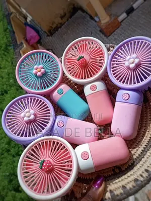 Mini Hand Fans