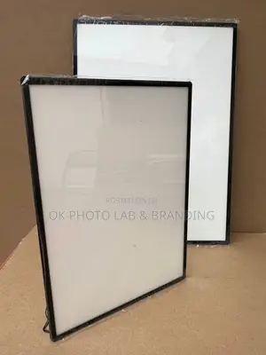 Led Plasma Photo Frame (A4 Size)