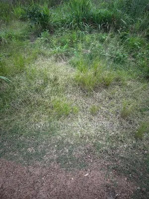 Half Plot for Sale at Asonomaso Nkwanta SAFO