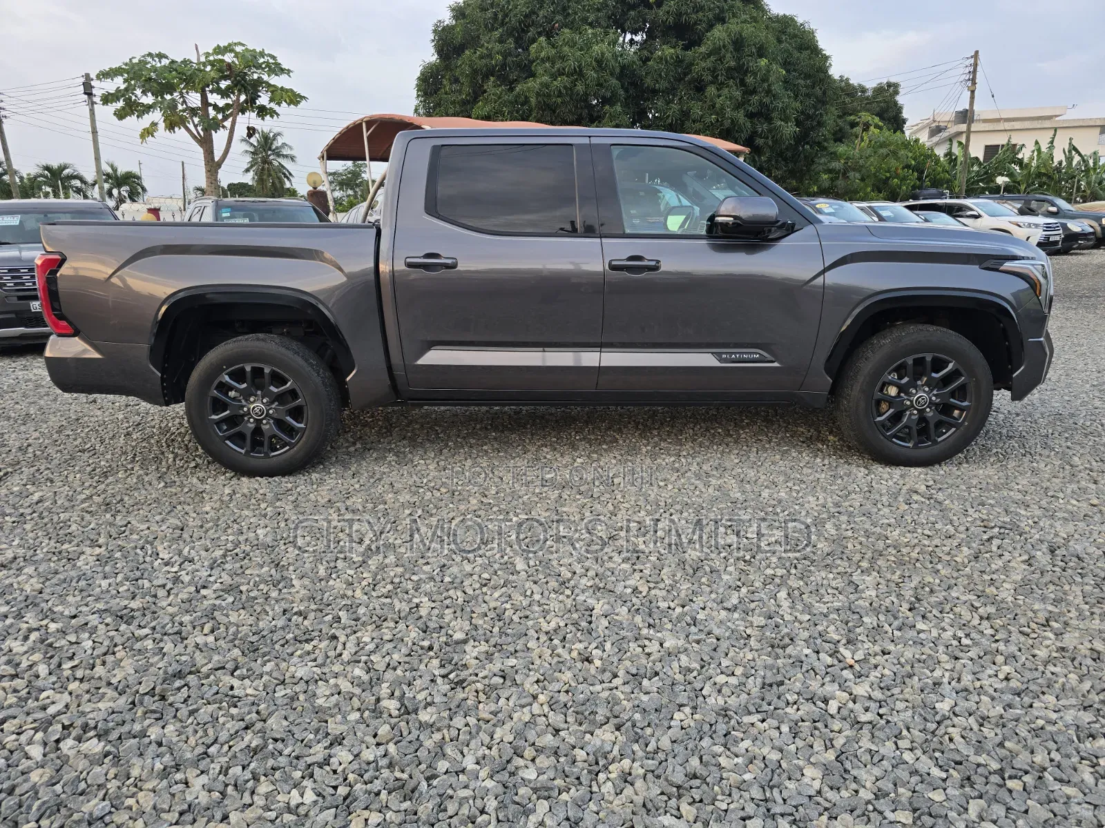 Toyota Tundra 2023 Gray