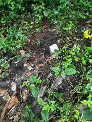 Half Plot for Sale at Asonomaso Nkwanta SAFO