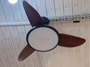 Light + Fan Blade