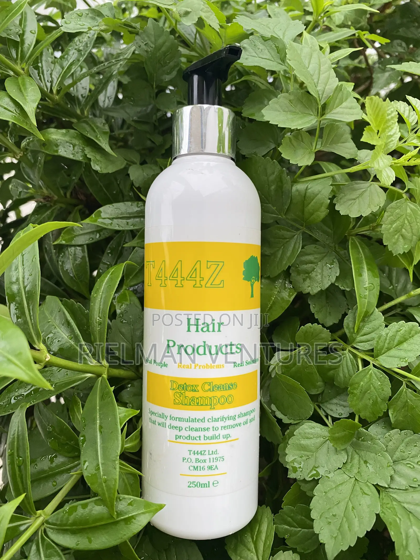 T444z Detox Cleanse Hair Shampoo