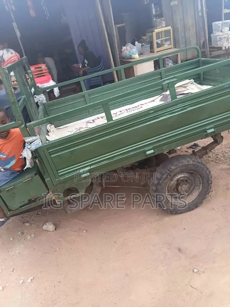 Luojia Cargo Tricycle 2021 Green