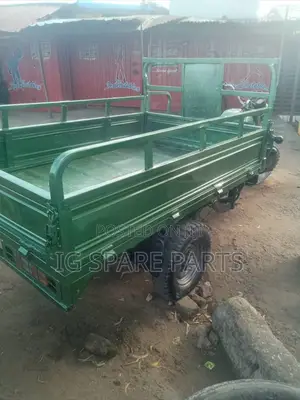Luojia Cargo Tricycle 2021 Green