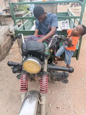 Luojia Cargo Tricycle 2021 Green