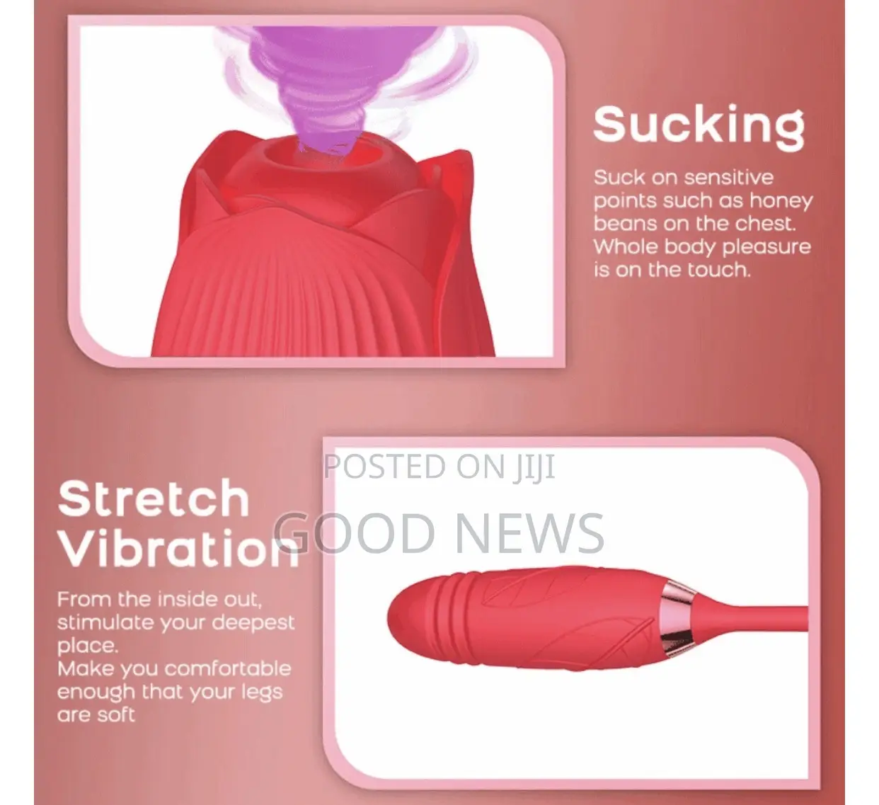 2-N1 Rose Vibrator Sex Toy