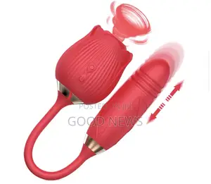 2-N1 Rose Vibrator Sex Toy