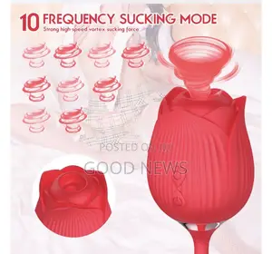 2-N1 Rose Vibrator Sex Toy