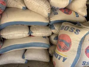 Fresh Maize