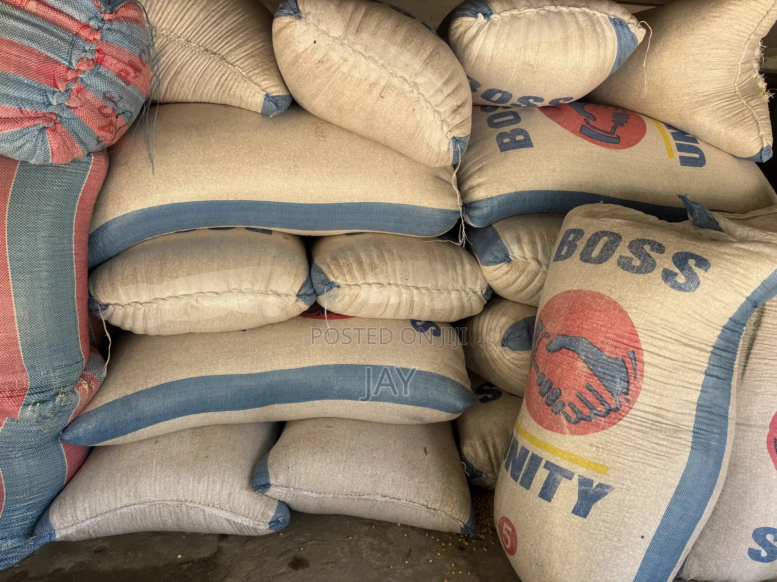 Fresh Maize