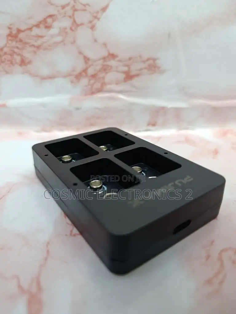 Quality PUJIMAX Smart 9V Rechargeable Battery Charger