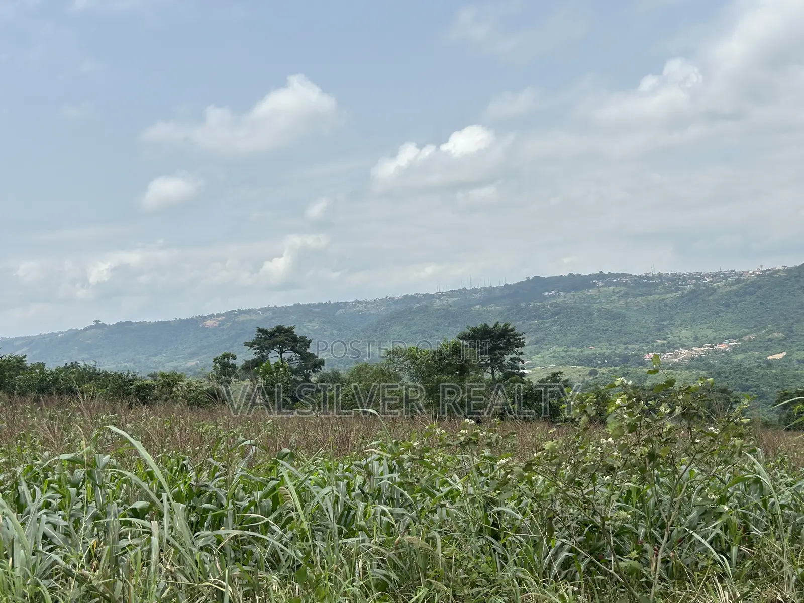 2 Registered Plots by Main Road for Sale-Pokhills
