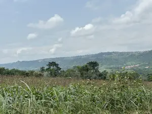 2 Registered Plots by Main Road for Sale-Pokhills