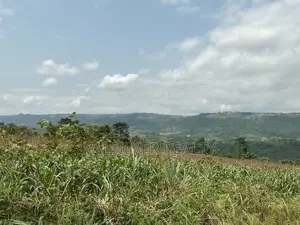 2 Registered Plots by Main Road for Sale-Pokhills